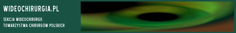wideochirurgia.com.pl